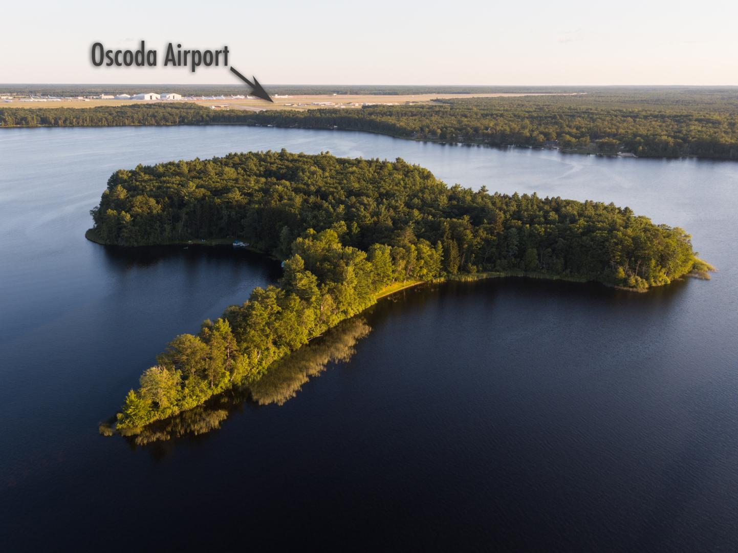 Loud Island image