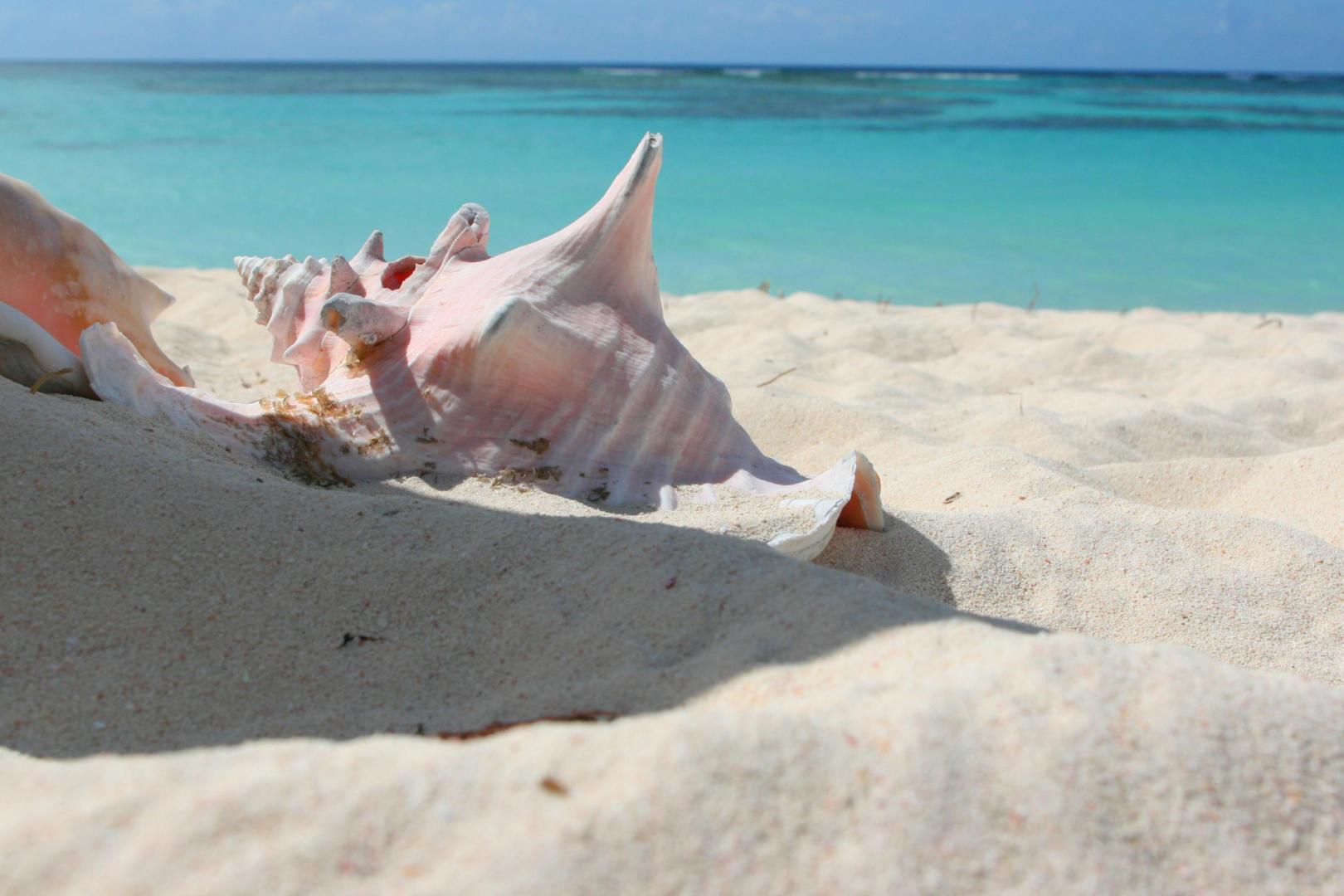 Choini Cay image