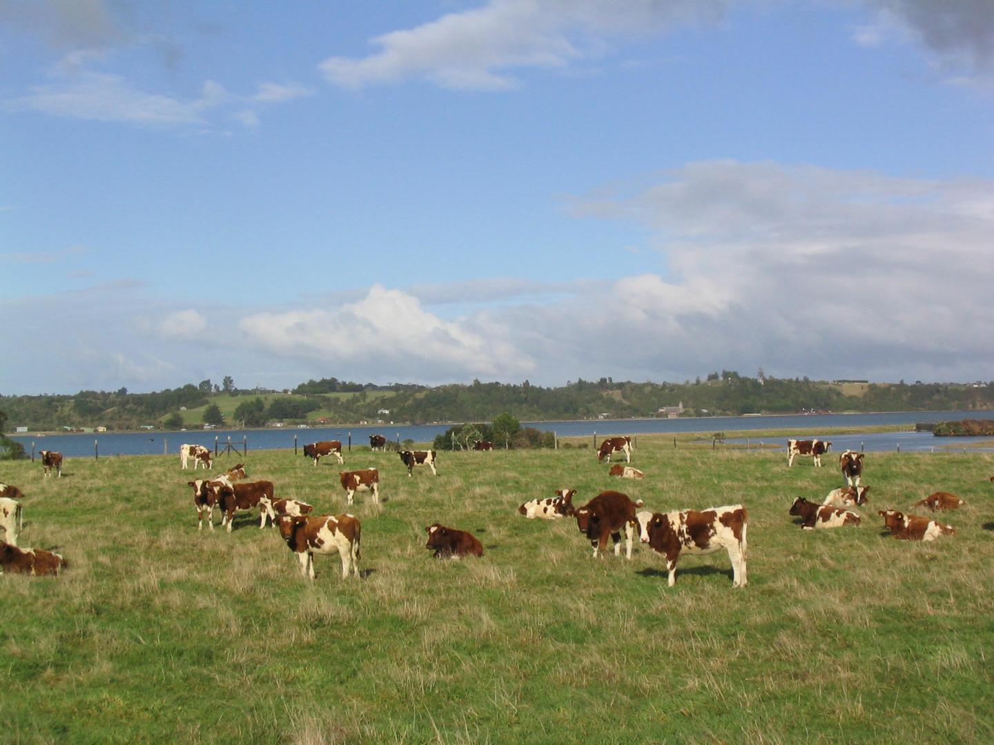 Isla Lacao image