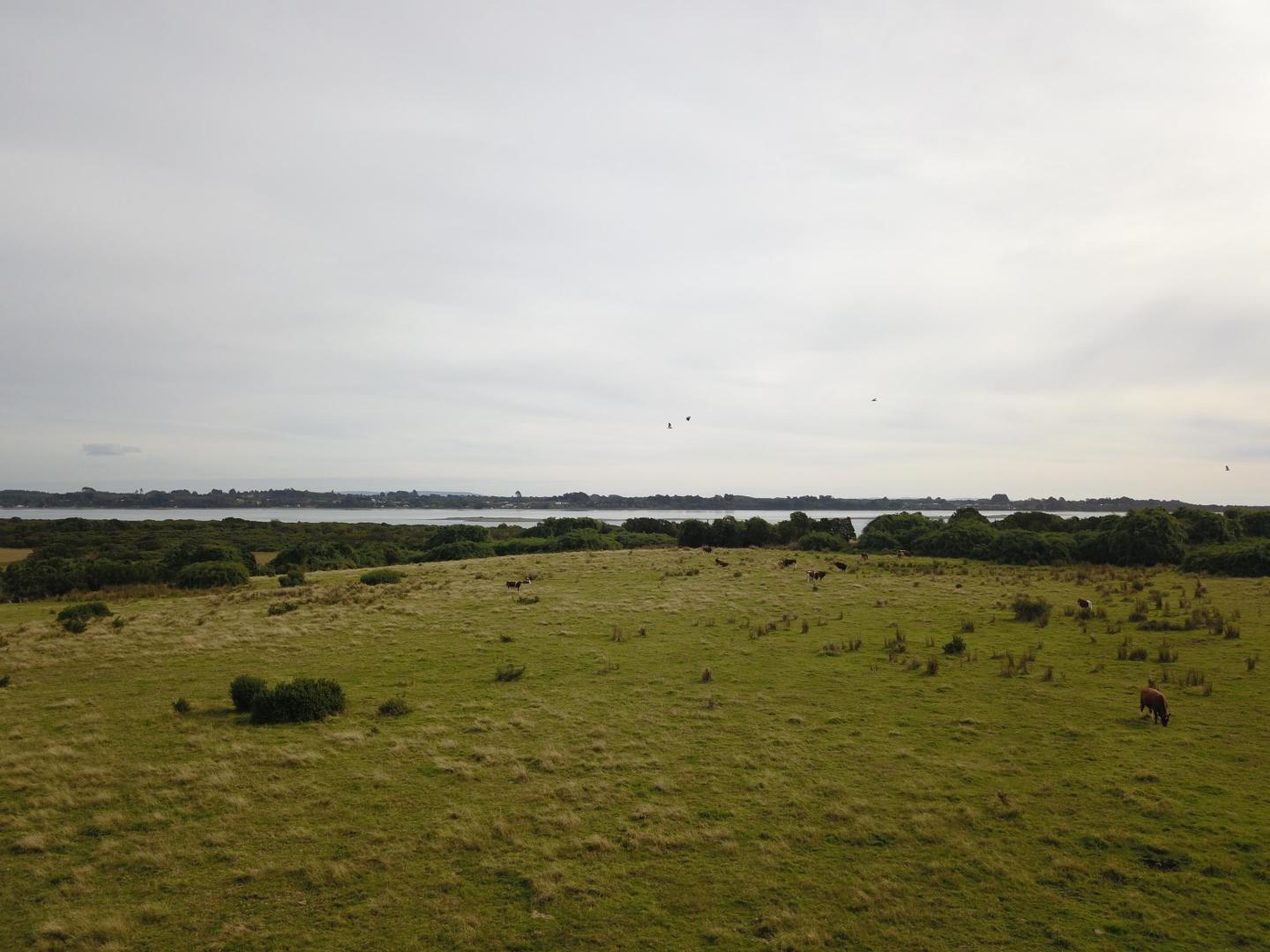 Isla Lacao image