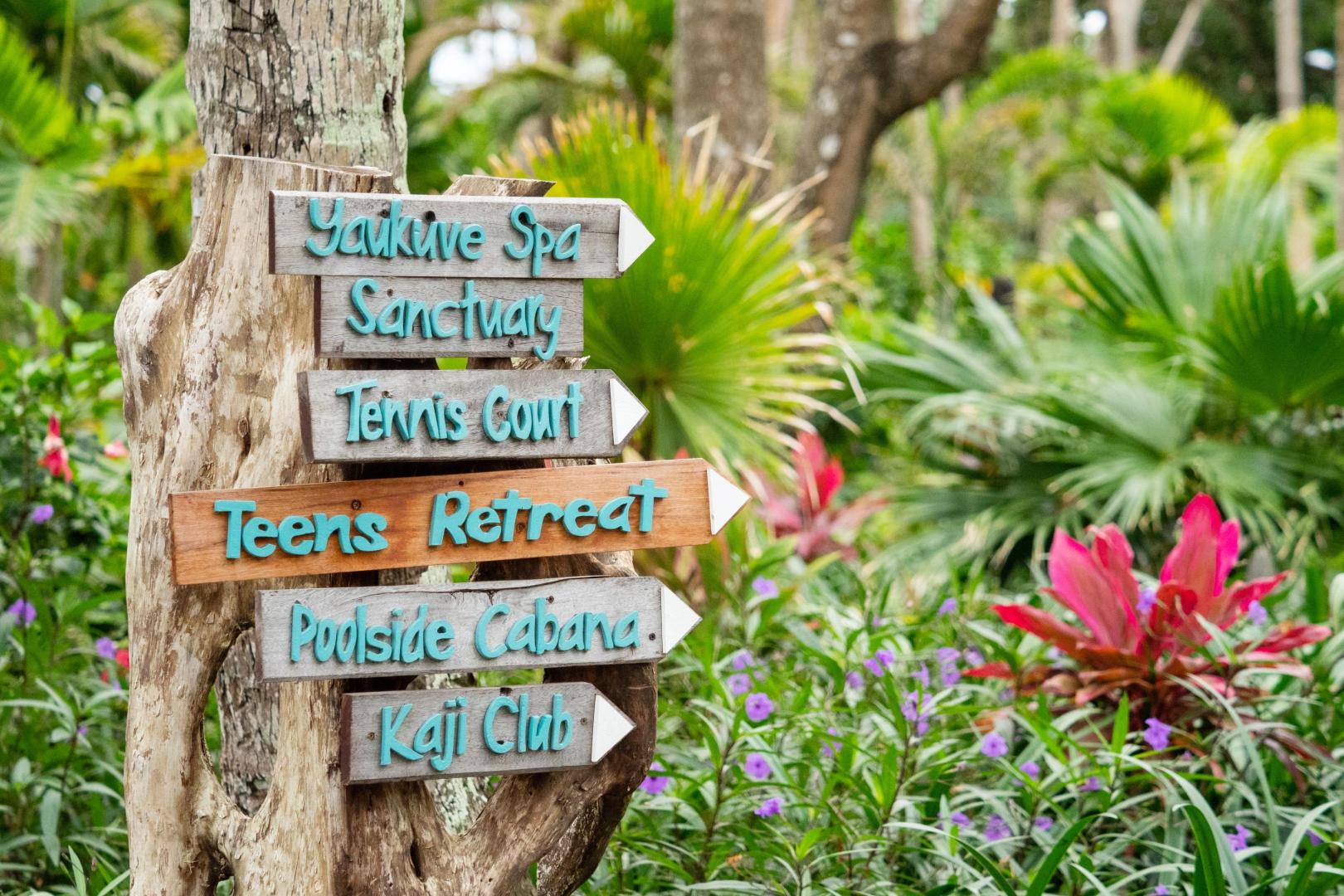 Kokomo Private Island image