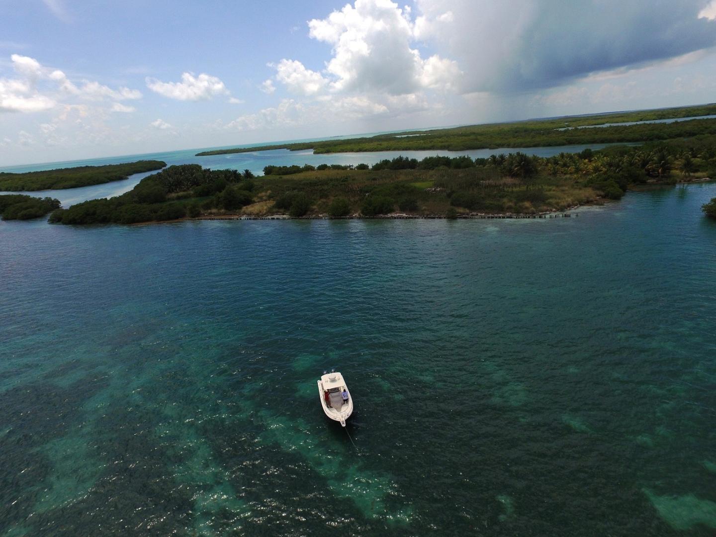 Manatee Caye image