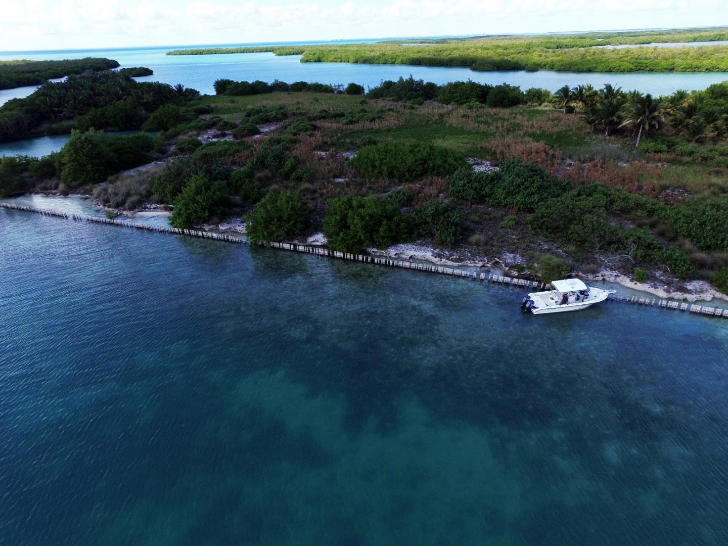 Manatee Caye image