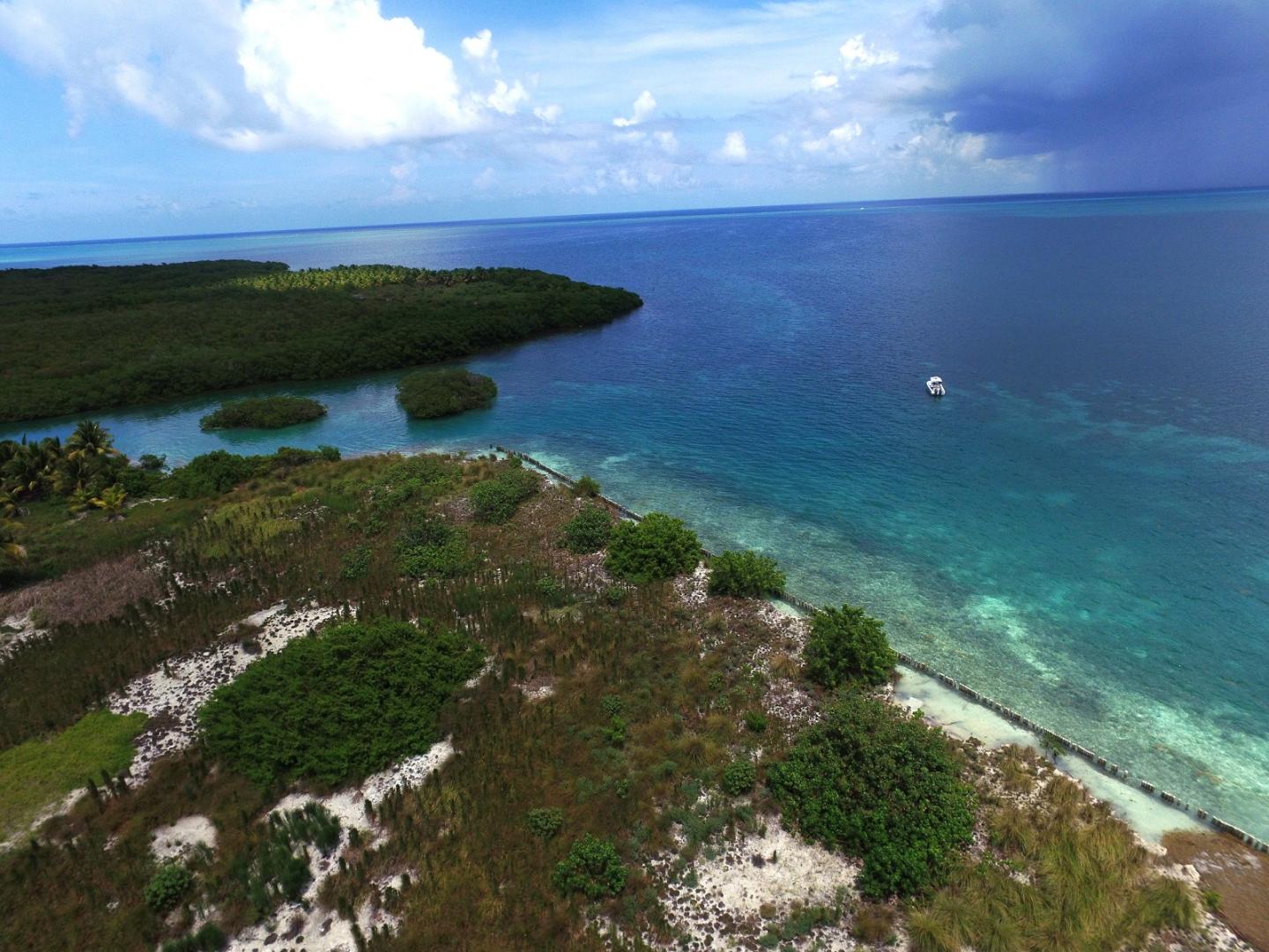 Manatee Caye image