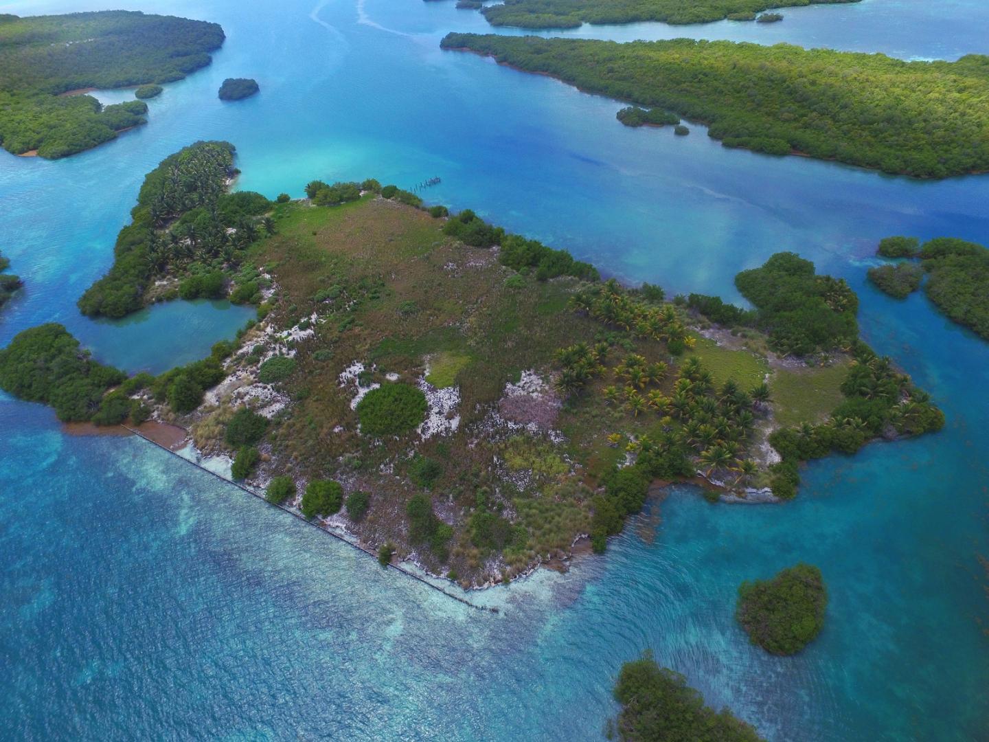 Manatee Caye image