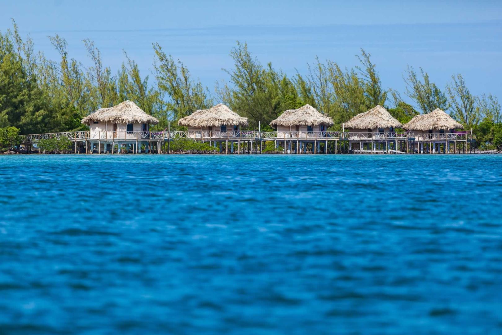 Thatch Caye image