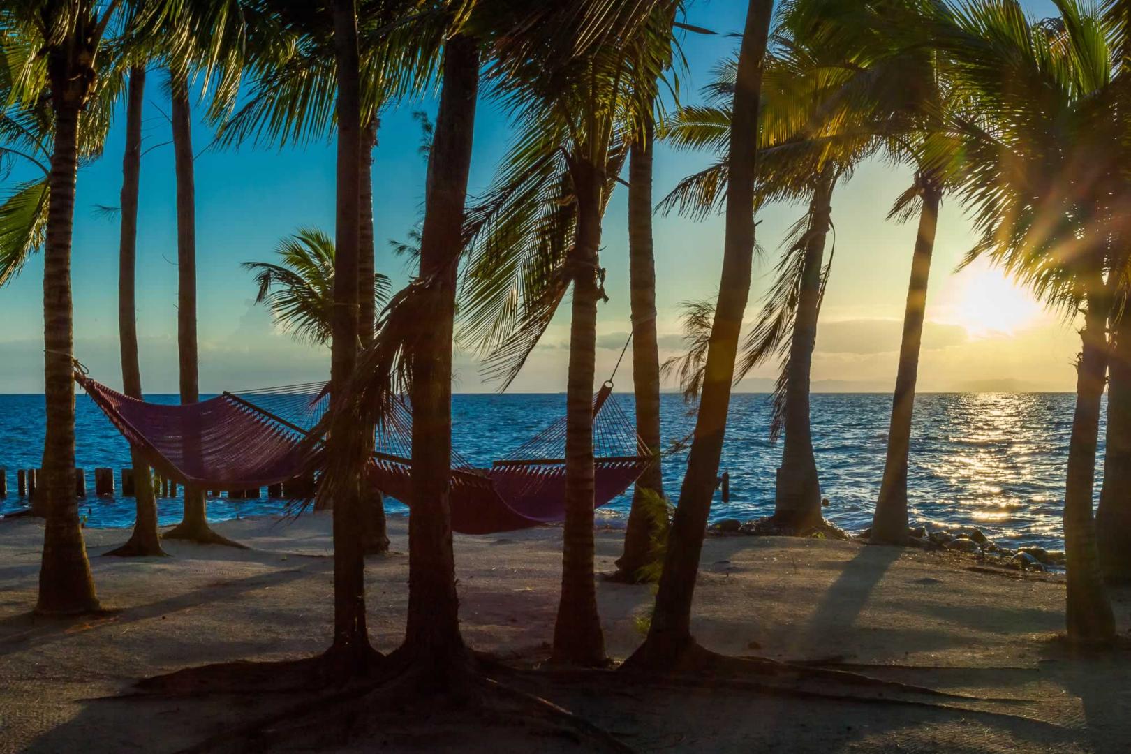 Thatch Caye image