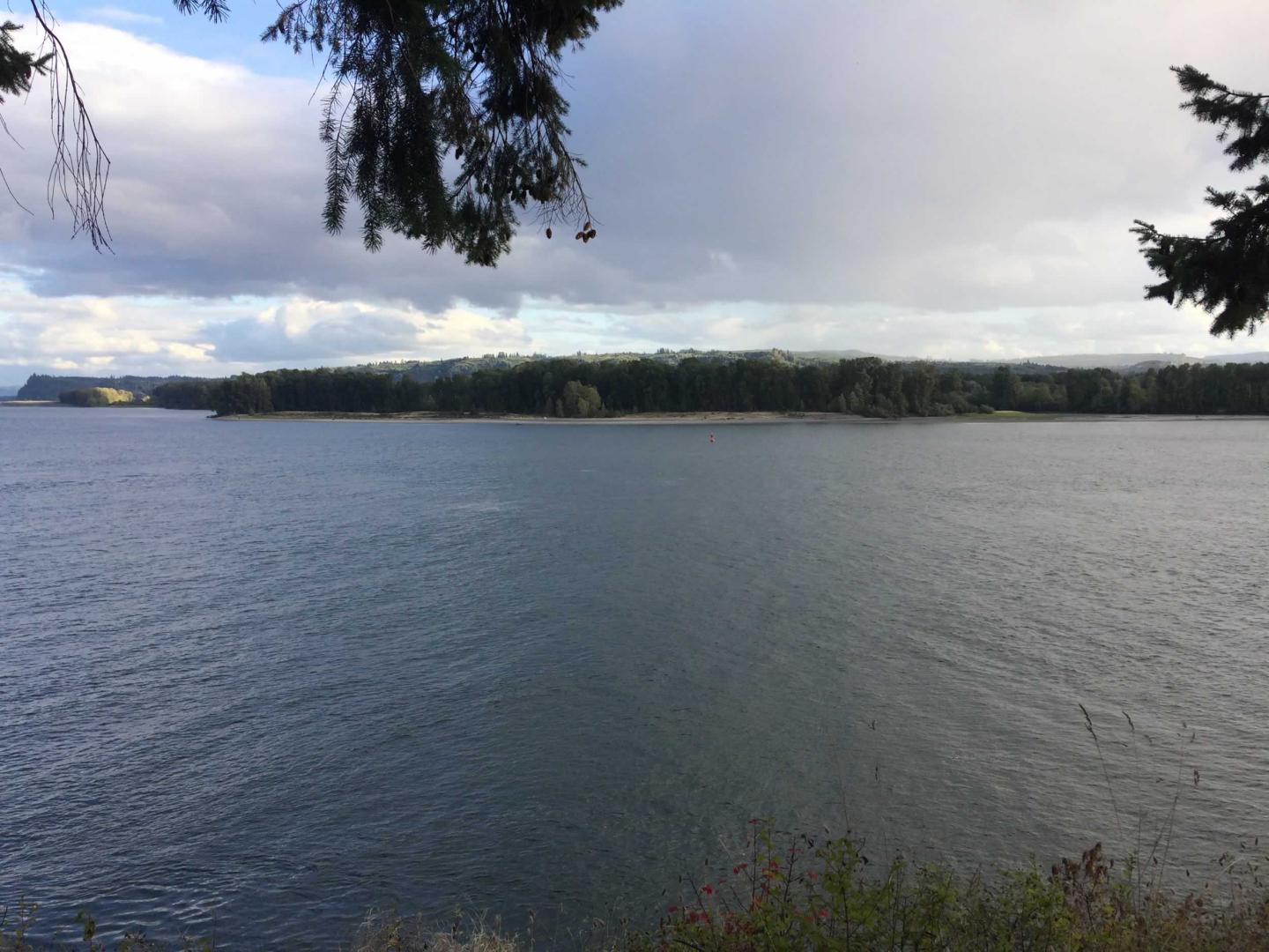 Gull Island, Oregon image