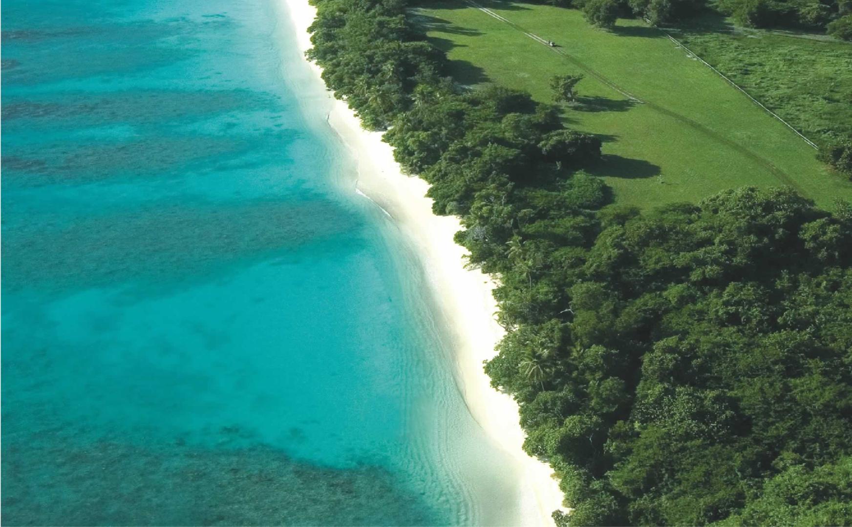 Guana Island image