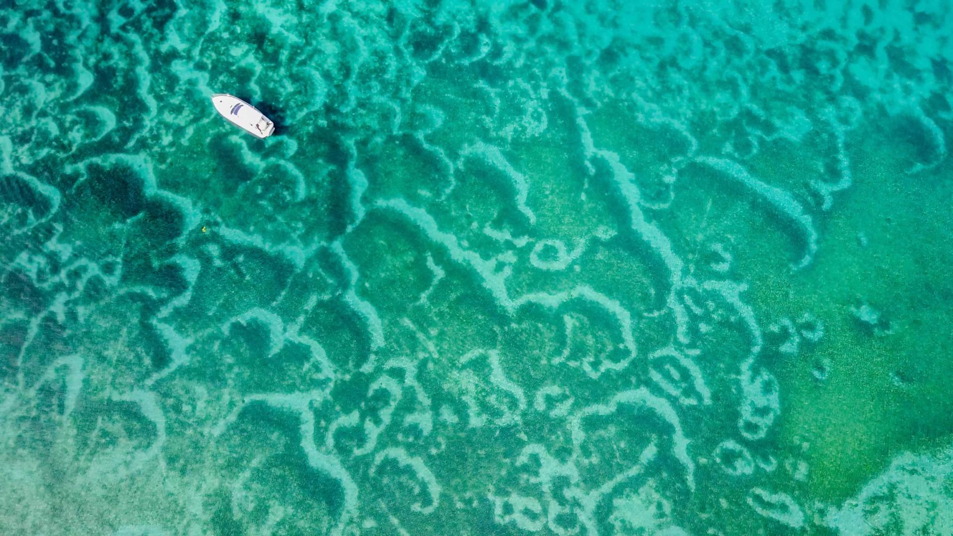 Slipper Island image
