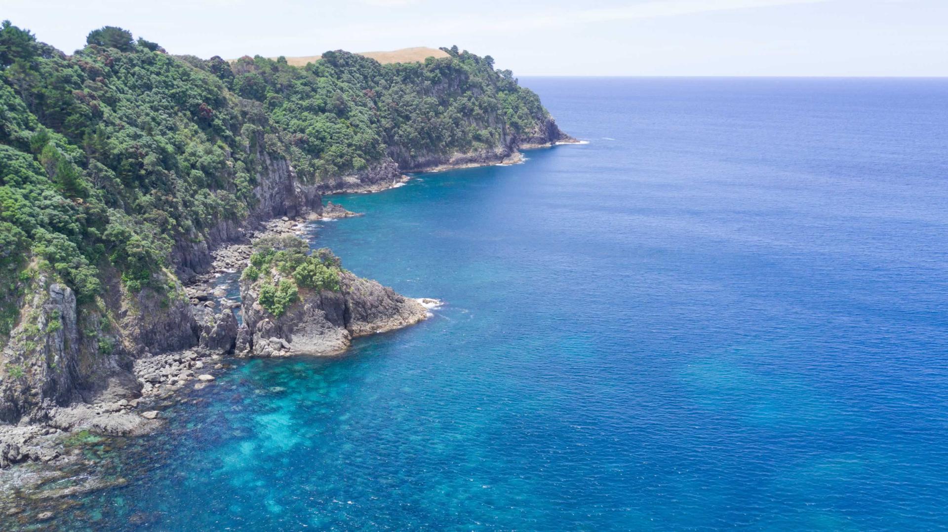 Slipper Island image