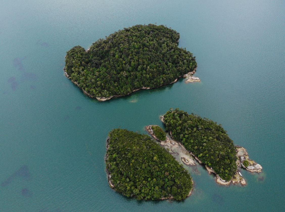 Isla Guardiamarina Zanartu and Islotes San Andres image