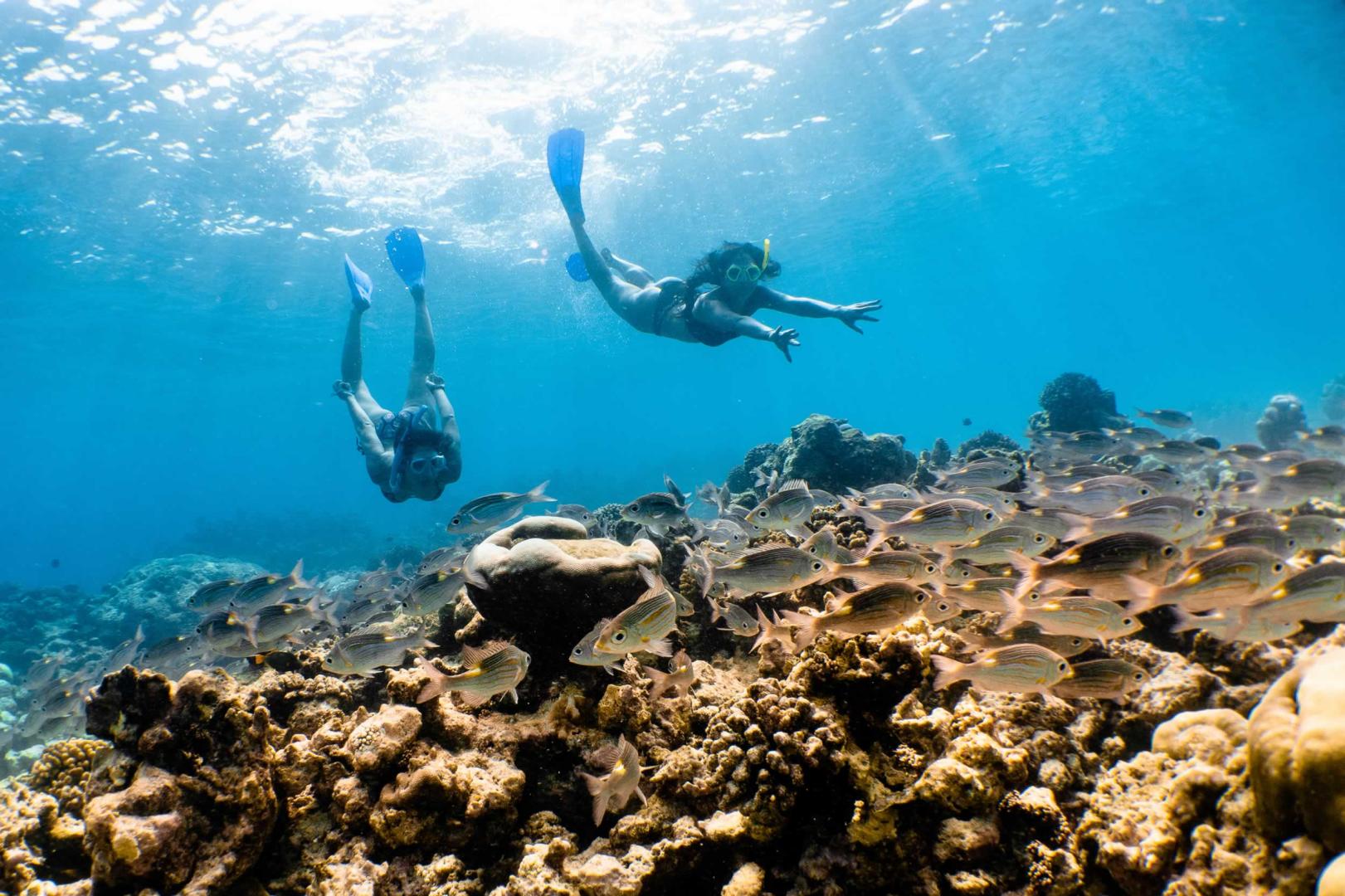 Movenpick Resort Kuredhivaru Maldives image