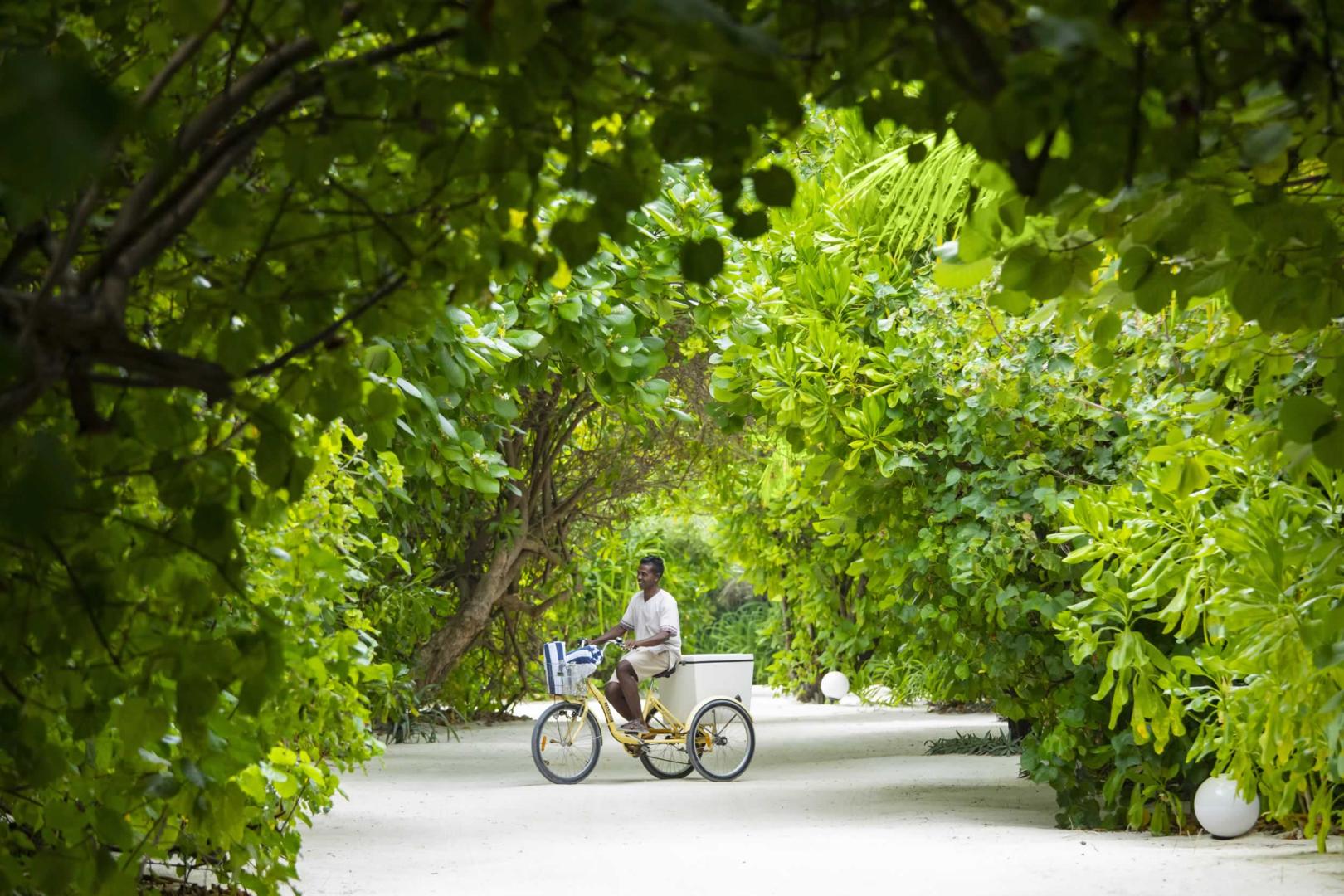 Movenpick Resort Kuredhivaru Maldives image