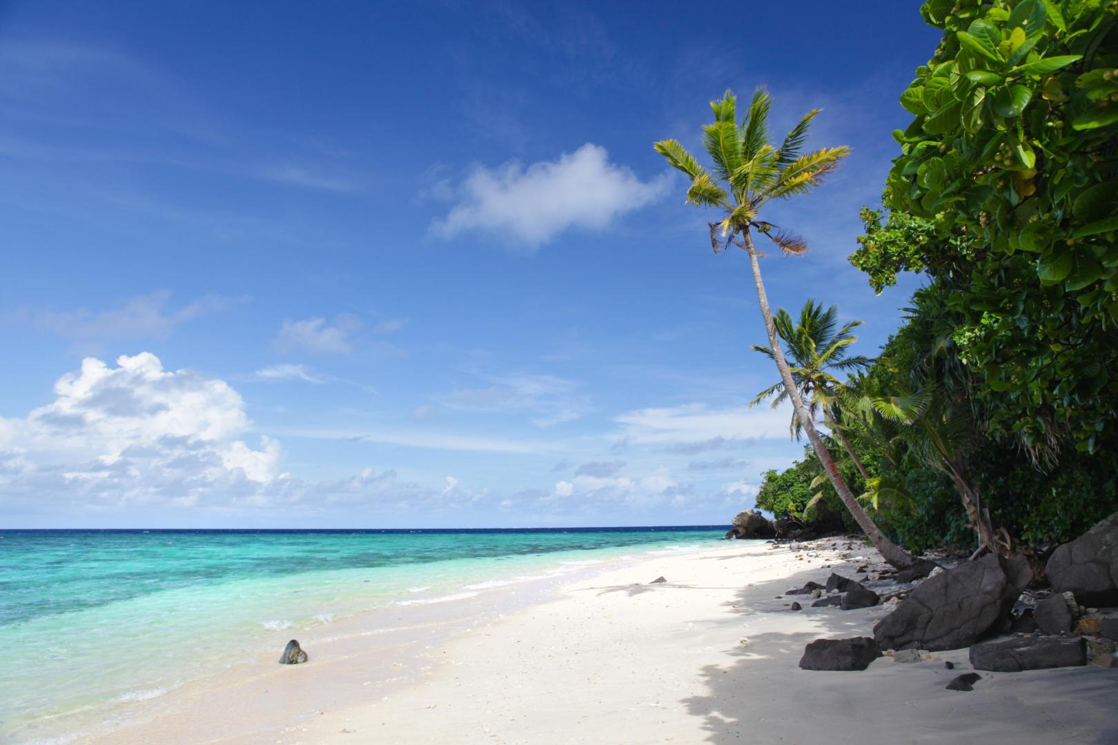 Royal Davui image