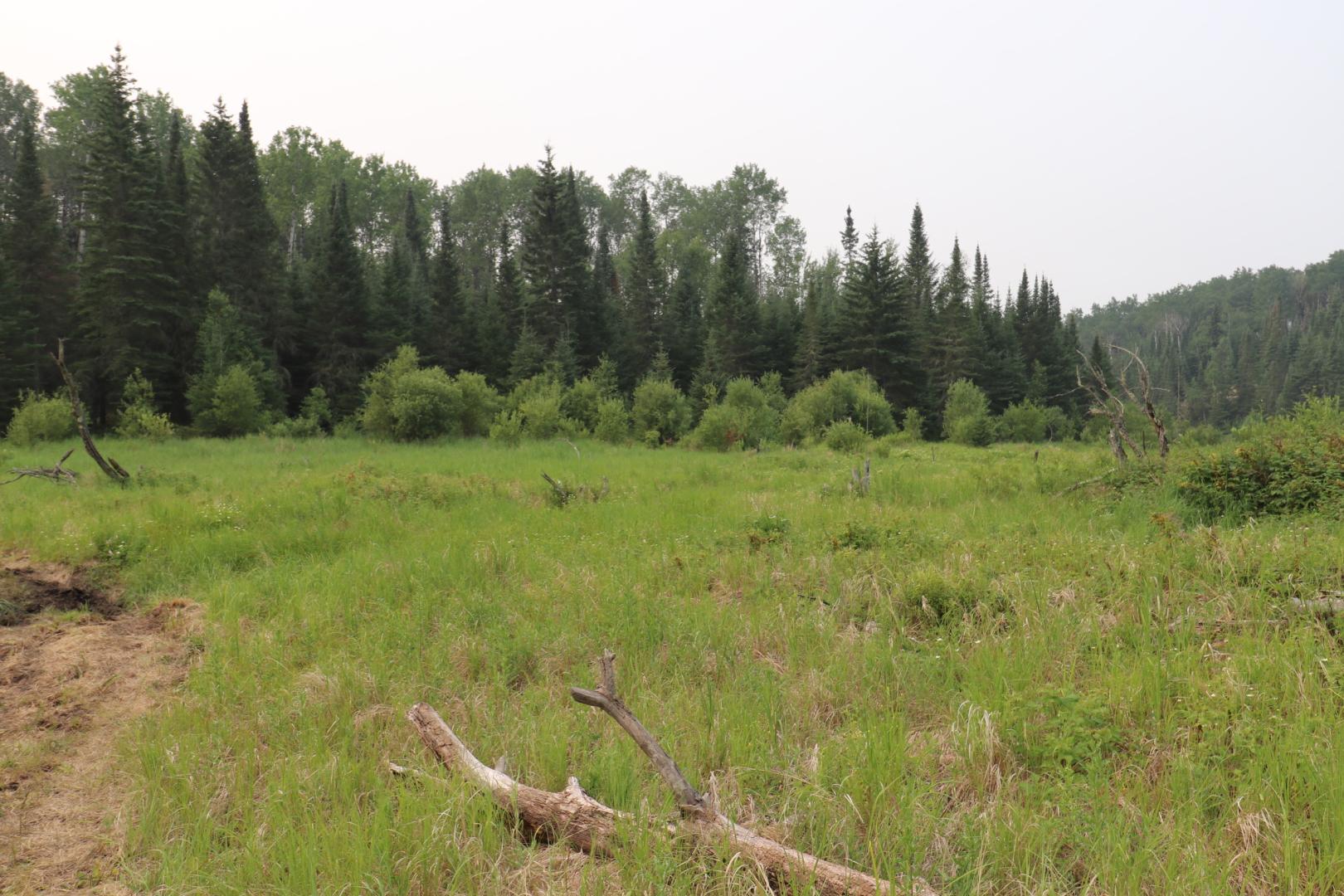 Beer Lake Estate Property image