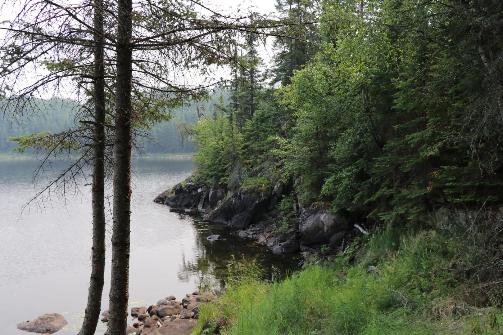 Beer Lake Estate Property image