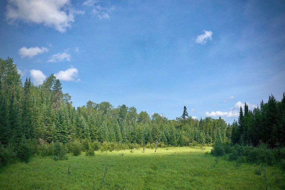 Beer Lake Estate Property image