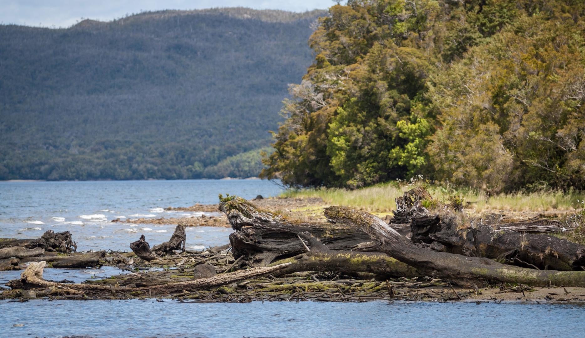 Private Island in Chilean Patagonia – Private island in Chile, South America