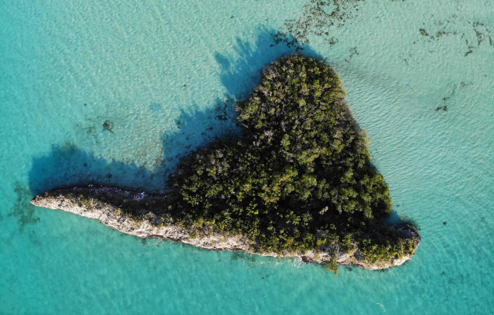 Neptune Cay image