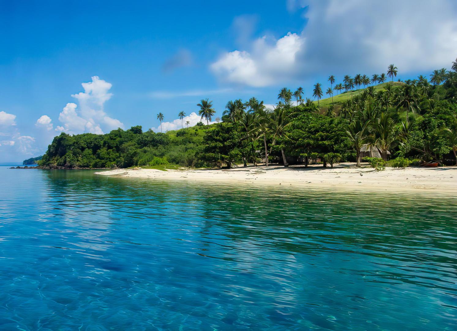 Medio Island image