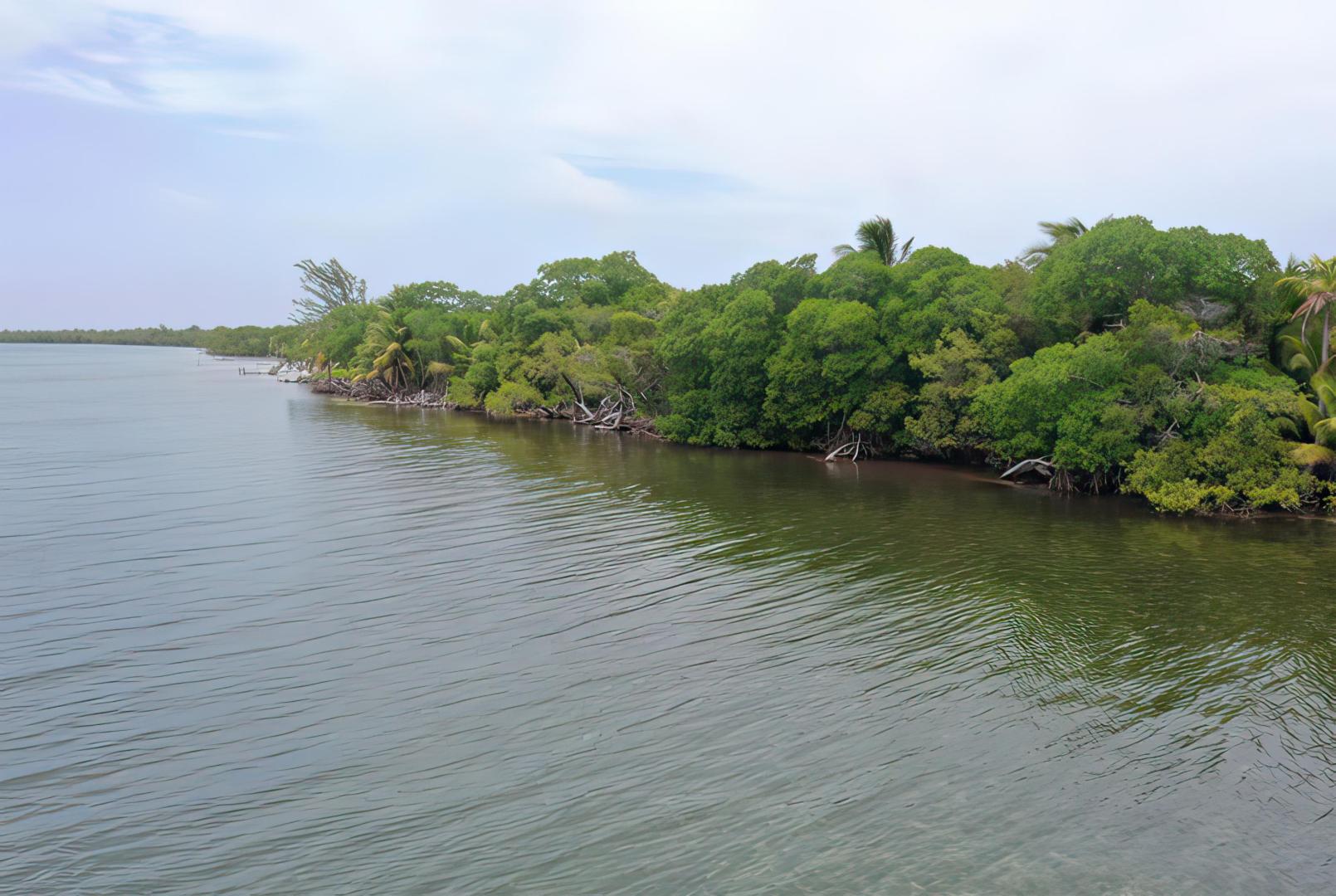 Turneffe Island West Parcel – Private island in Belize, Central America