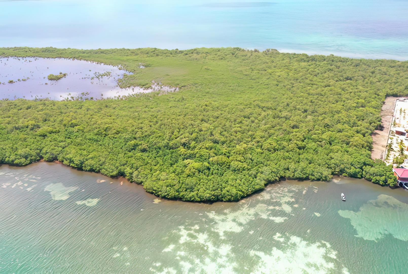 Cross Caye Parcel – Private island in Belize, Central America