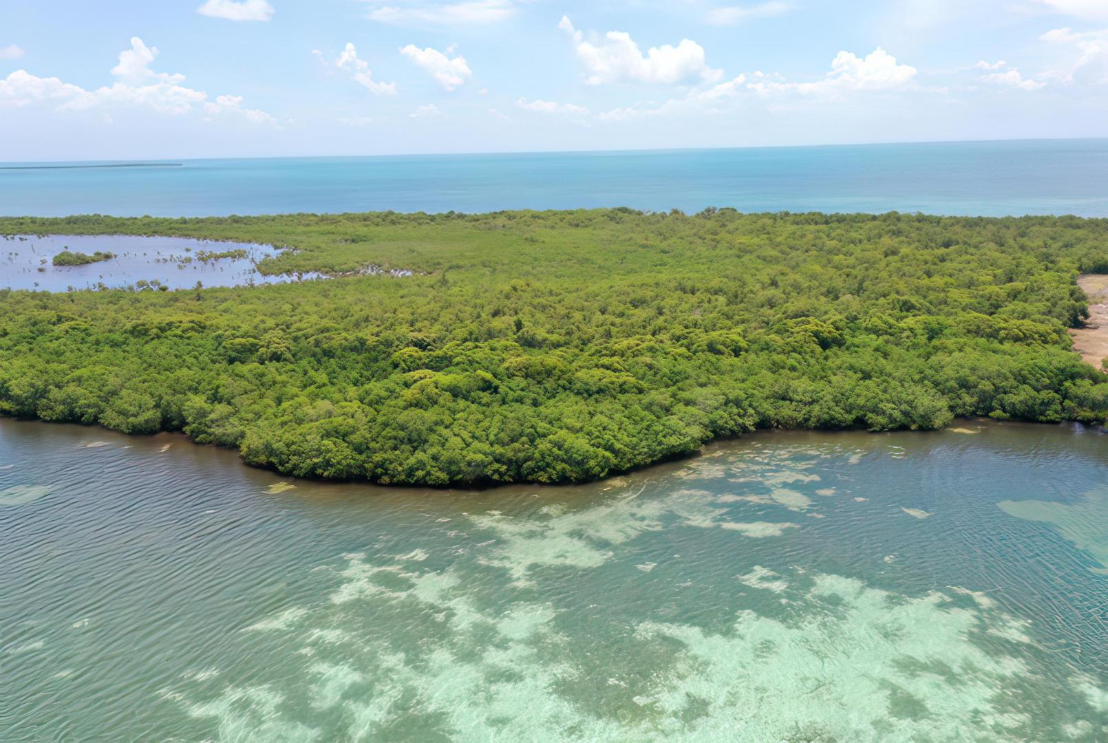 Cross Caye Parcel – Private island in Belize, Central America