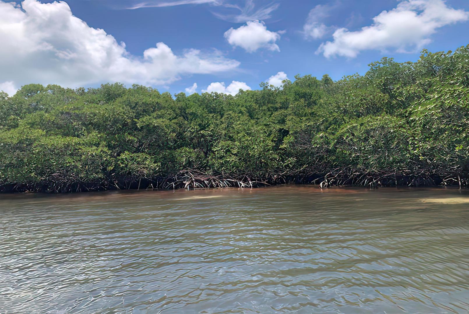 Cross Caye Parcel – Private island in Belize, Central America