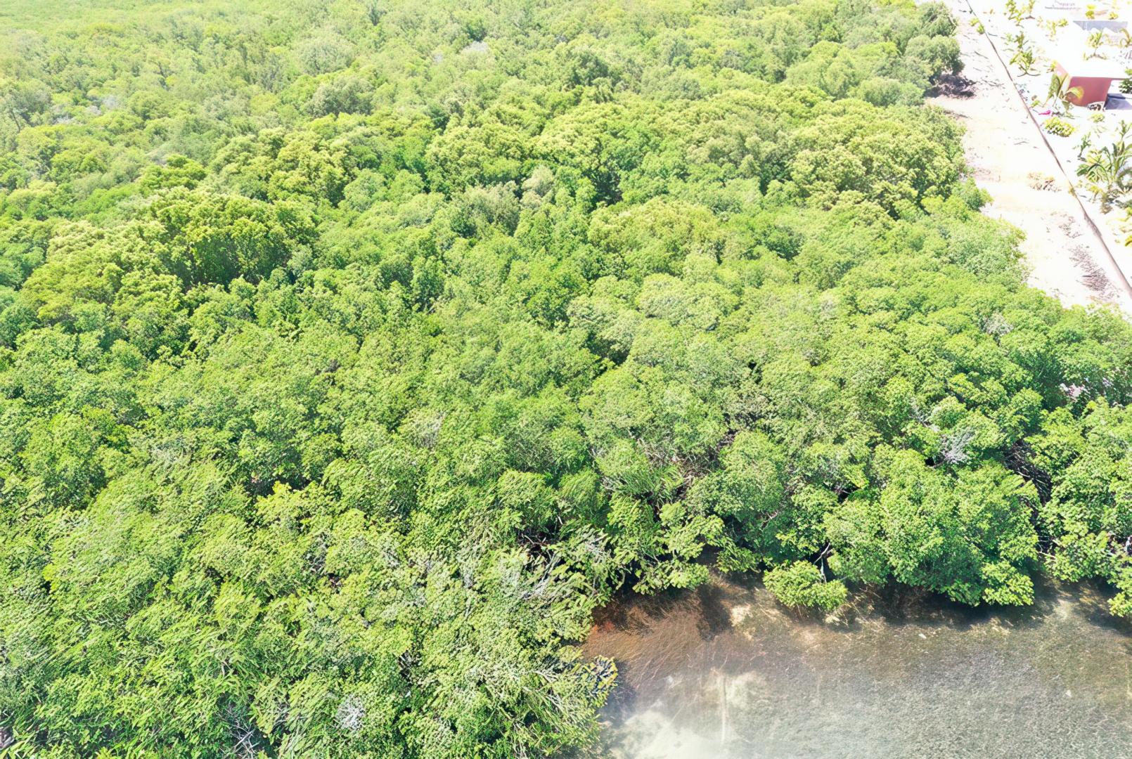 Cross Caye Parcel – Private island in Belize, Central America