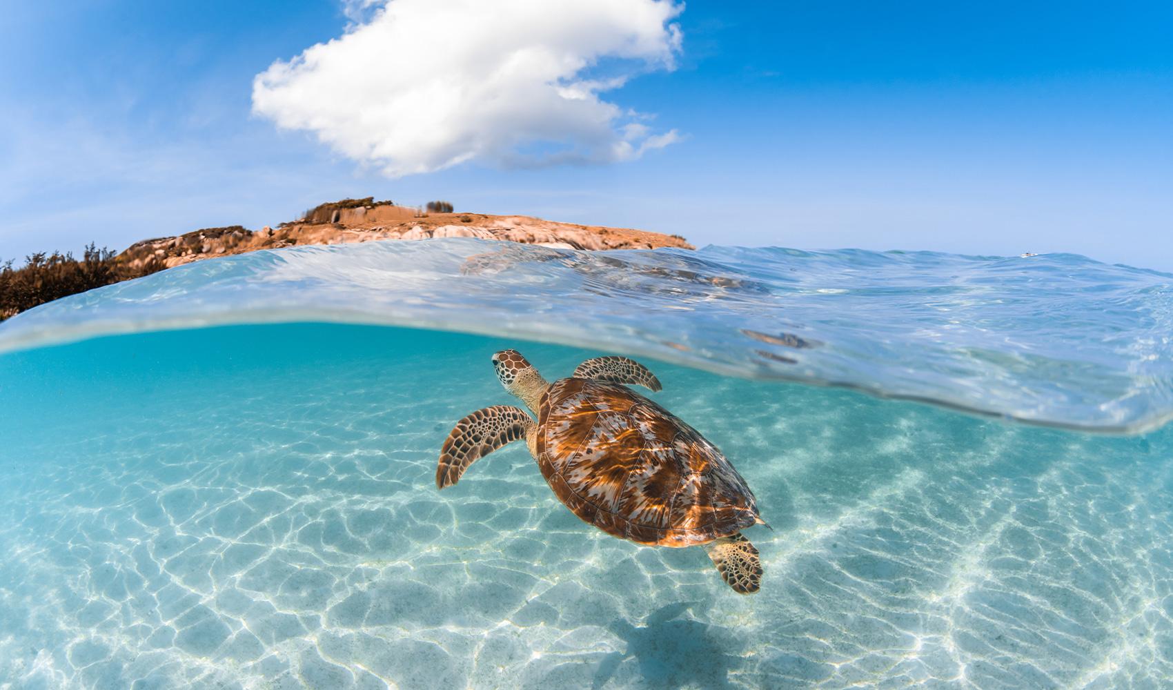 Lizard Island – Private island in Australia, South Pacific