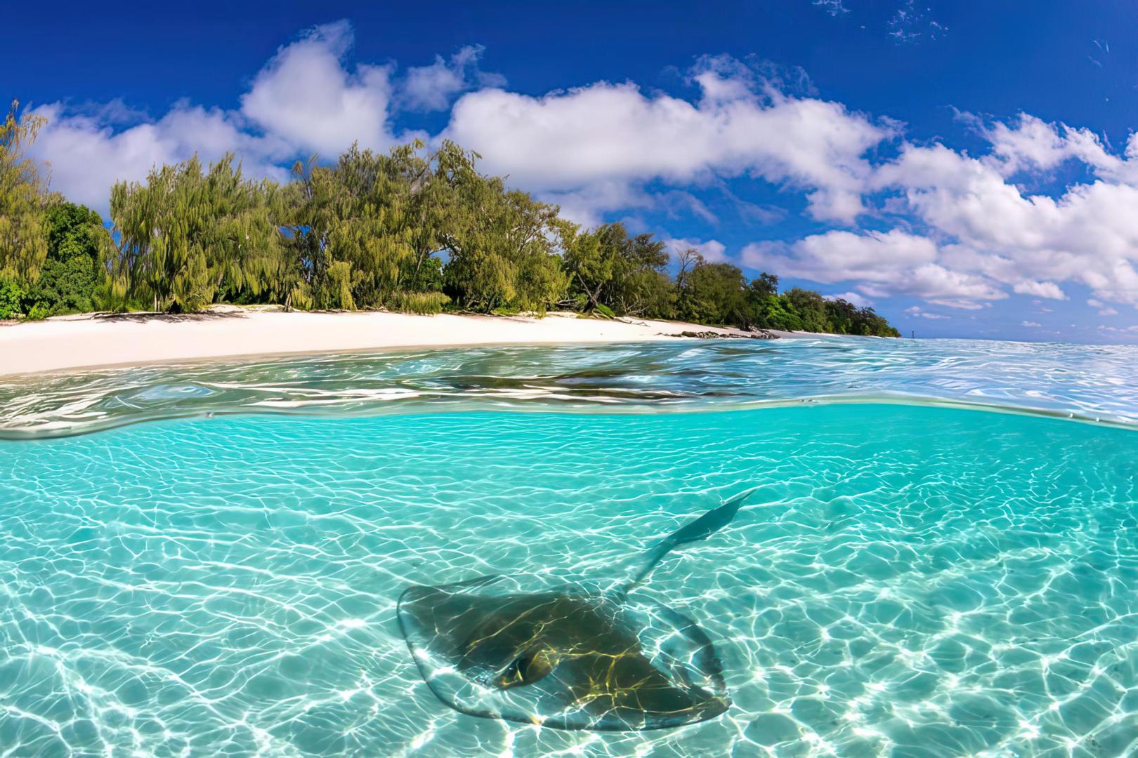 Heron Island – Private island in Australia, South Pacific