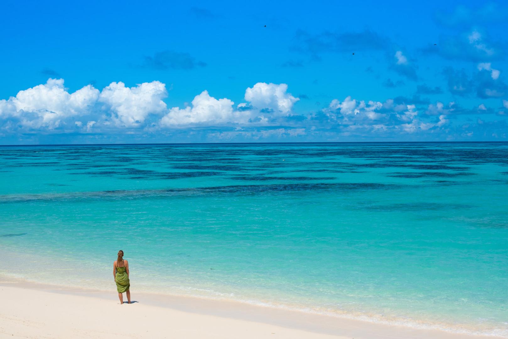 Denis Island – Private island in Seychelles, Africa