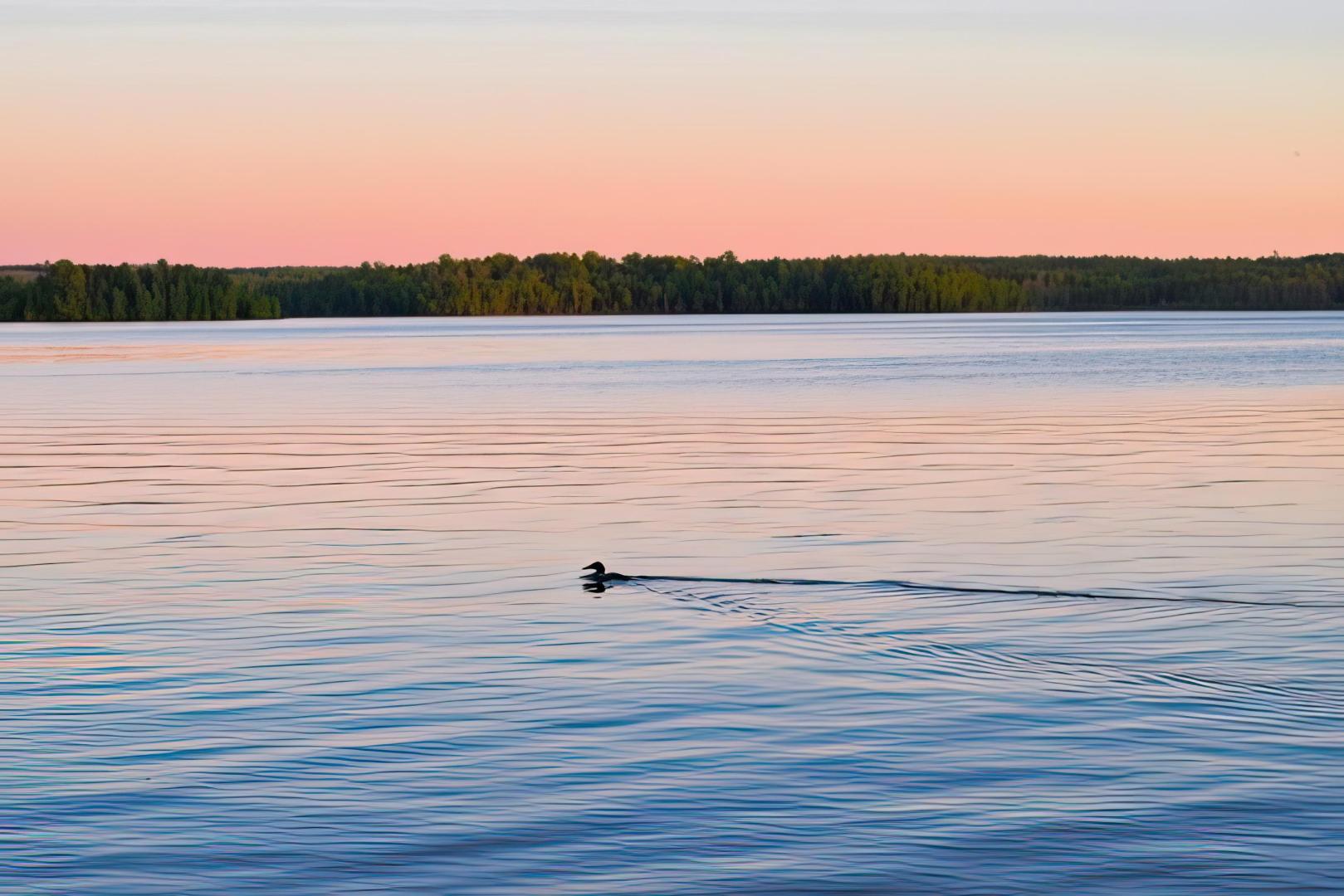 Strand Island – Private island in Minnesota, United States