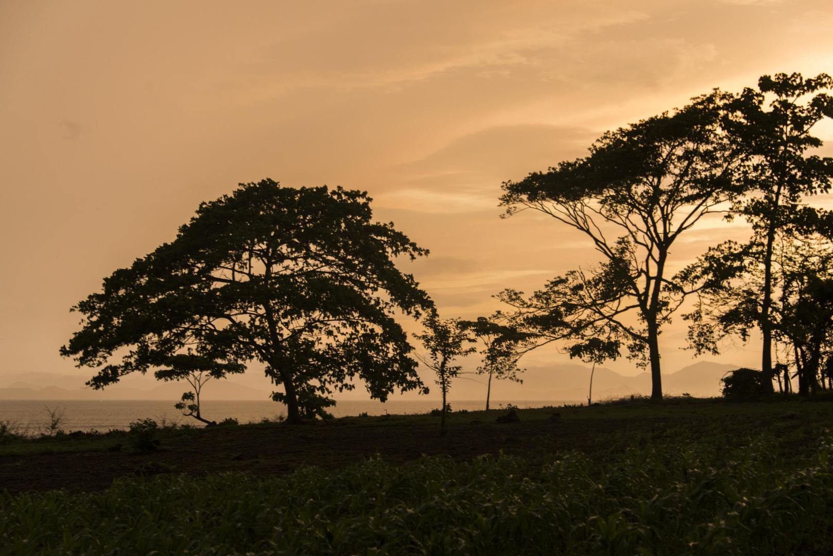 Punta Loros – Private island in Costa Rica, Central America