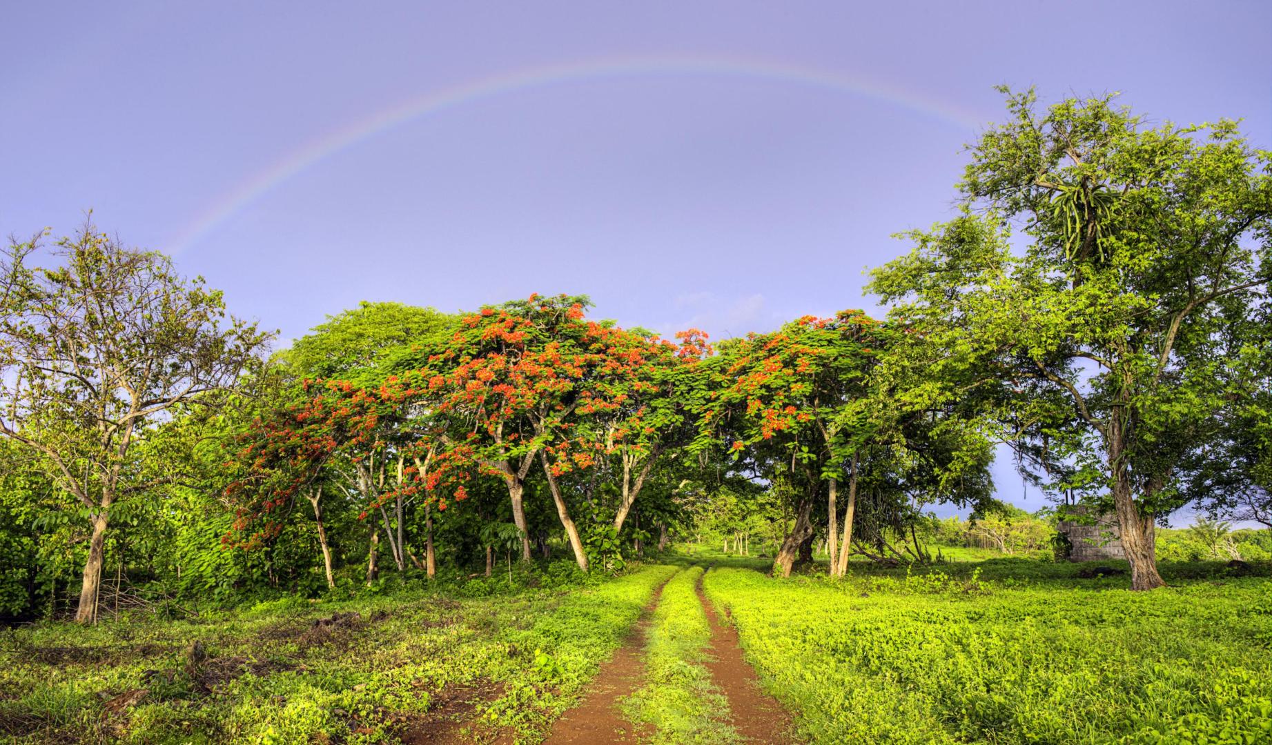 Punta Loros – Private island in Costa Rica, Central America