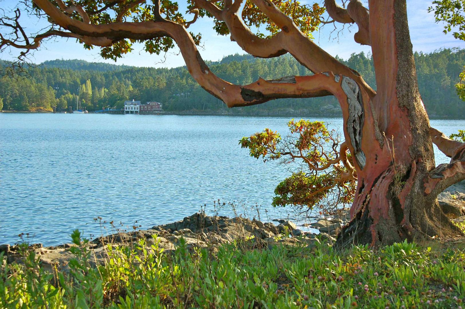 Fane Island – Private island in British Columbia, Canada