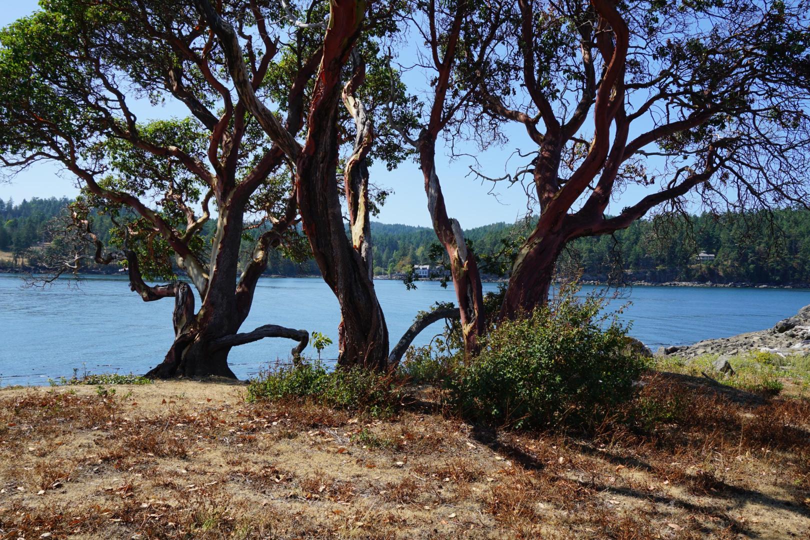 Fane Island – Private island in British Columbia, Canada