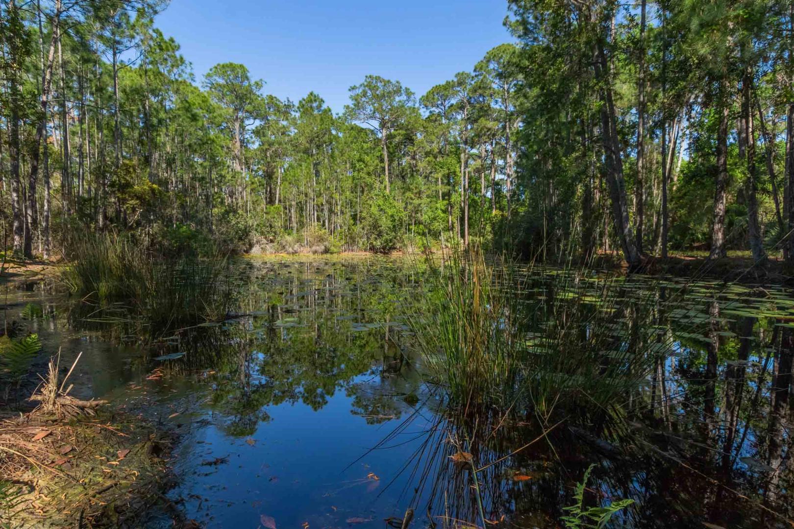 Hog Island, Florida – Private island in Florida, United States