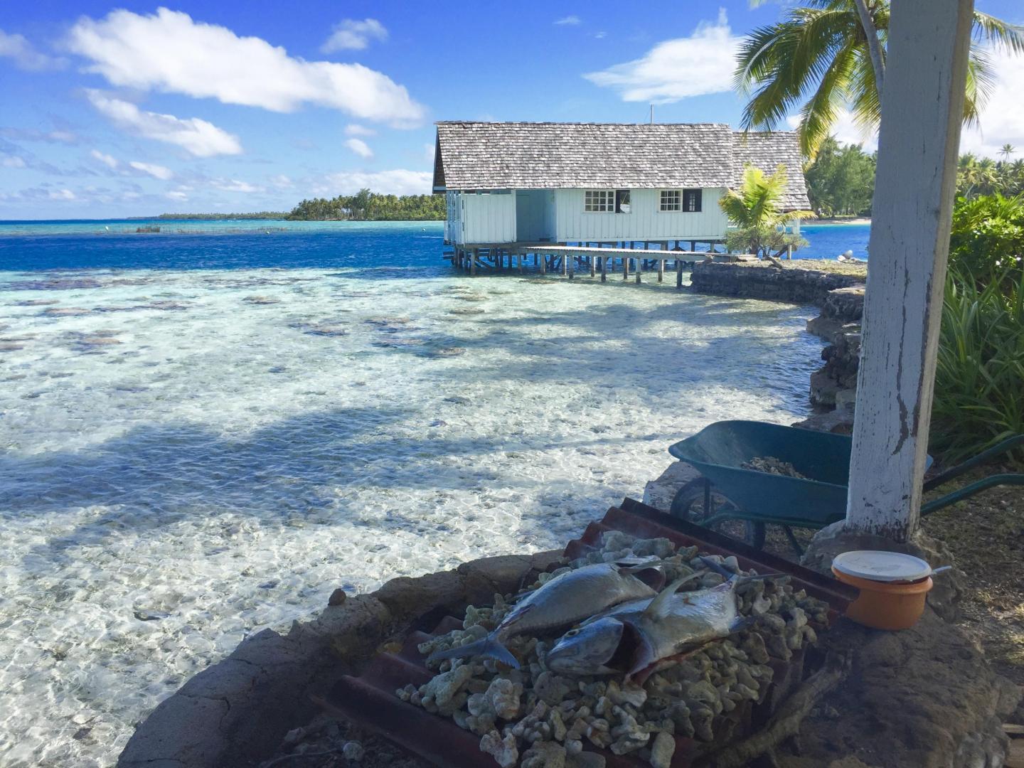 Motu Fara – Private island in French Polynesia, South Pacific