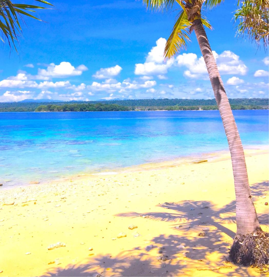 Dany Island – Private island in Vanuatu, South Pacific