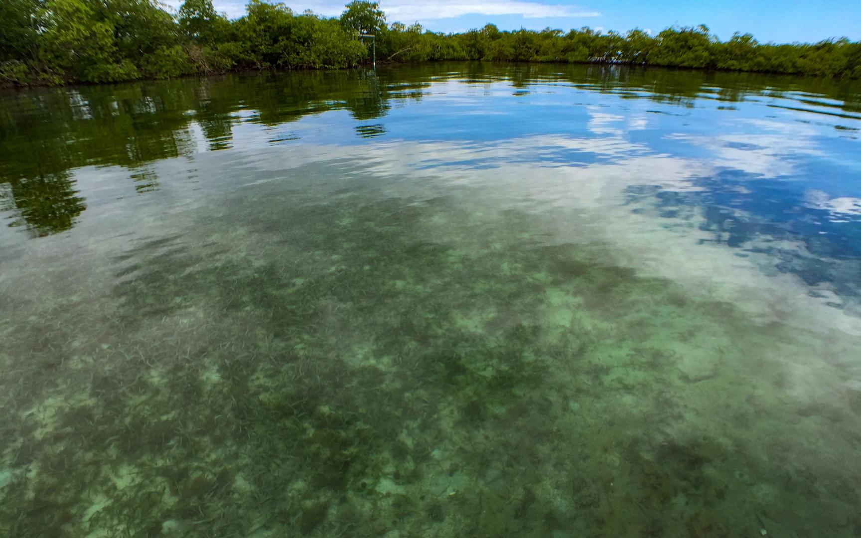 Jack Analys Cay – Private island in Panama, Central America