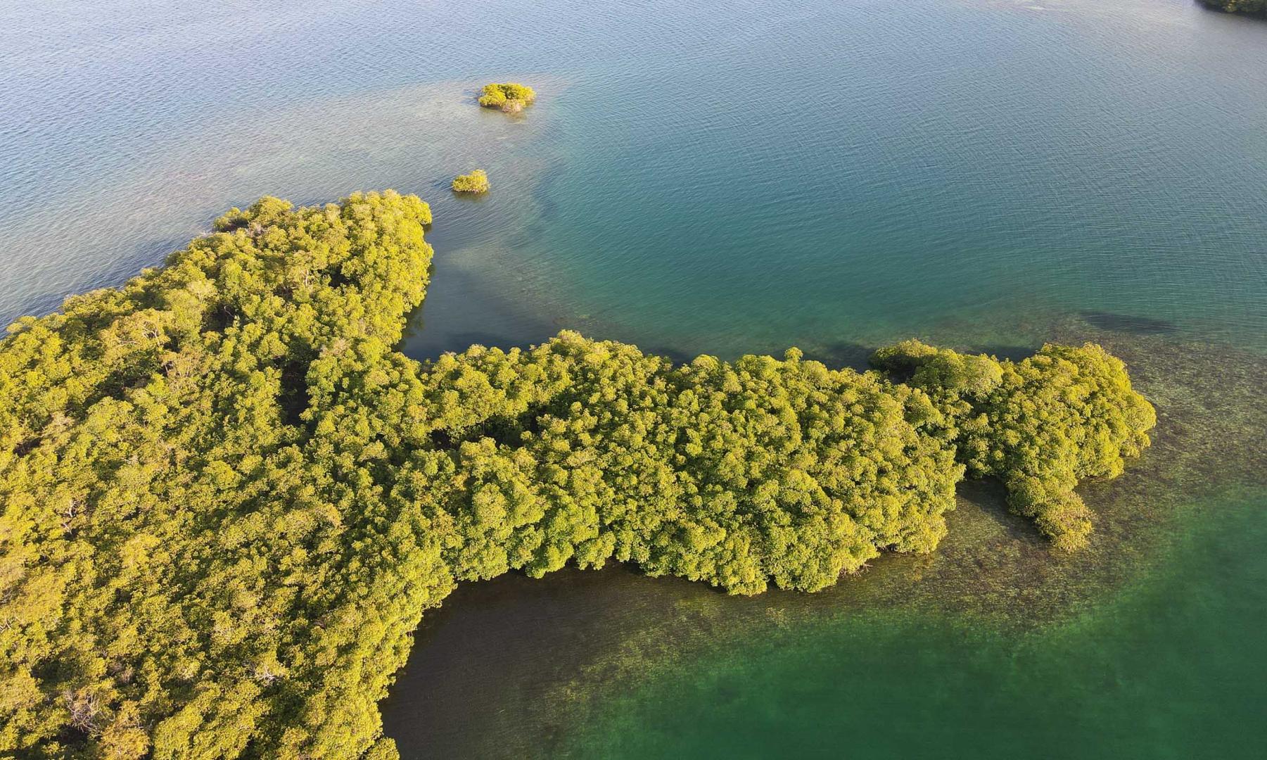 Private Island with 1.5-ha Lot – Private island in Panama, Central America