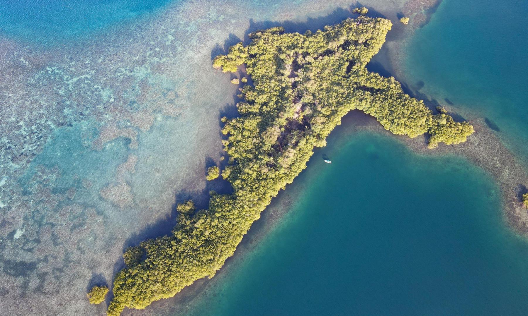 Private Island with 1.5-ha Lot – Private island in Panama, Central America