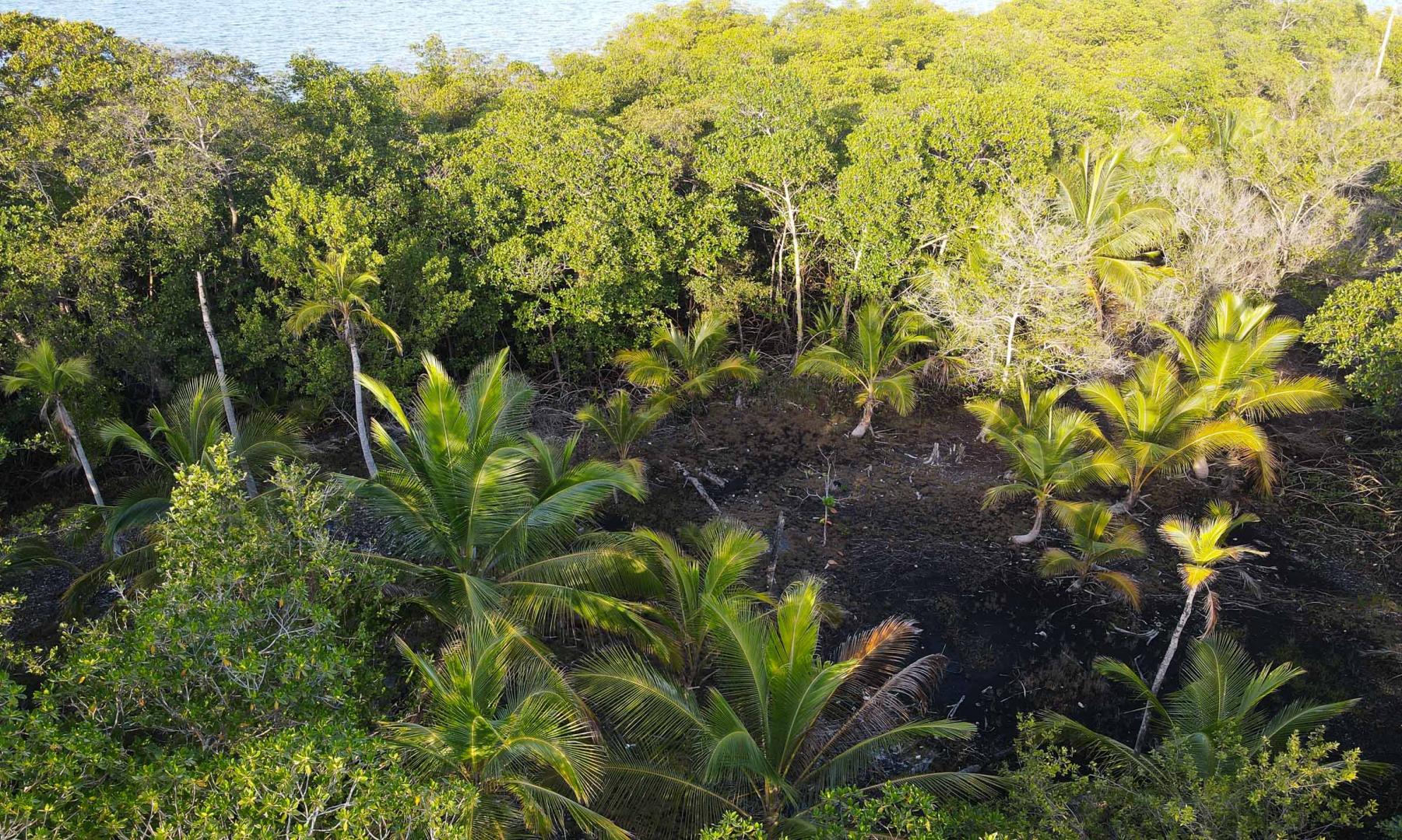 Private Island with 1.5-ha Lot – Private island in Panama, Central America