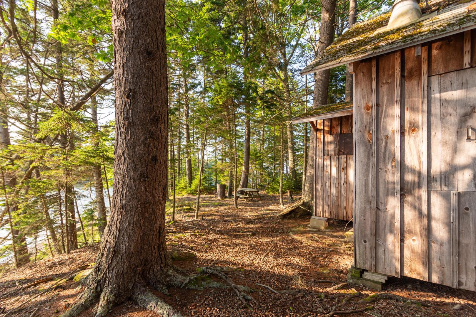 Upper Negro Island – Private island in Maine, United States