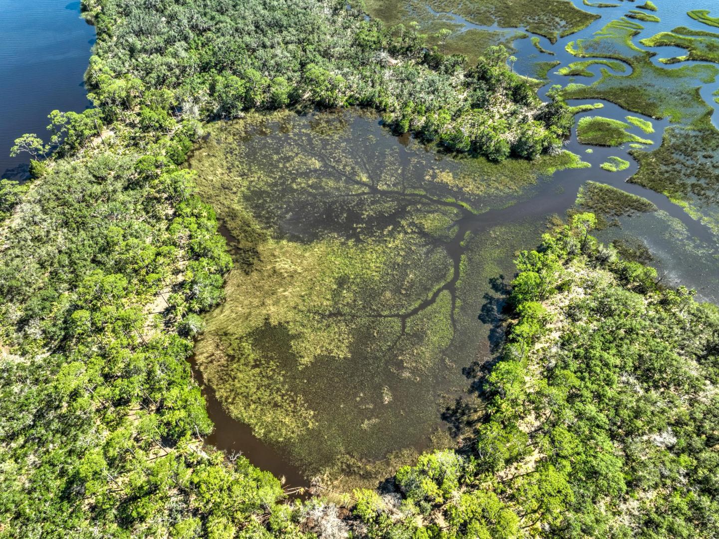Clark Island – Private island in Florida, United States
