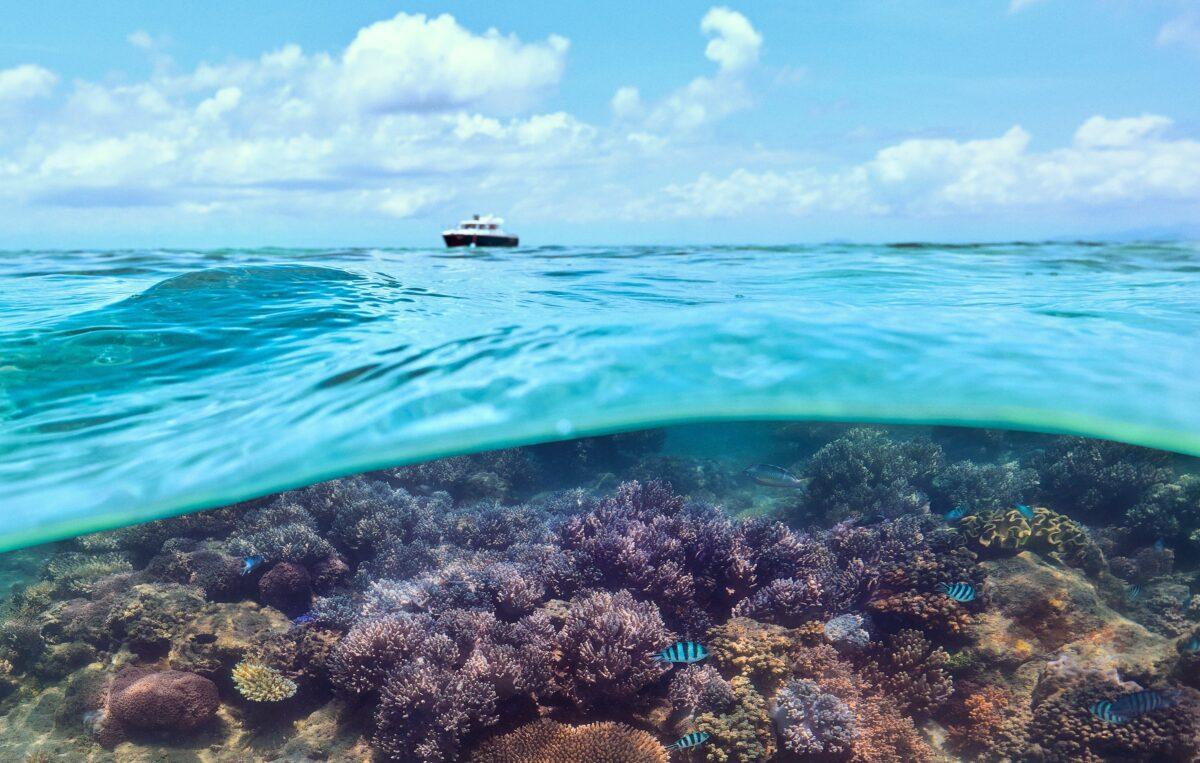 Pelorus Private Island – Private island in Australia, South Pacific