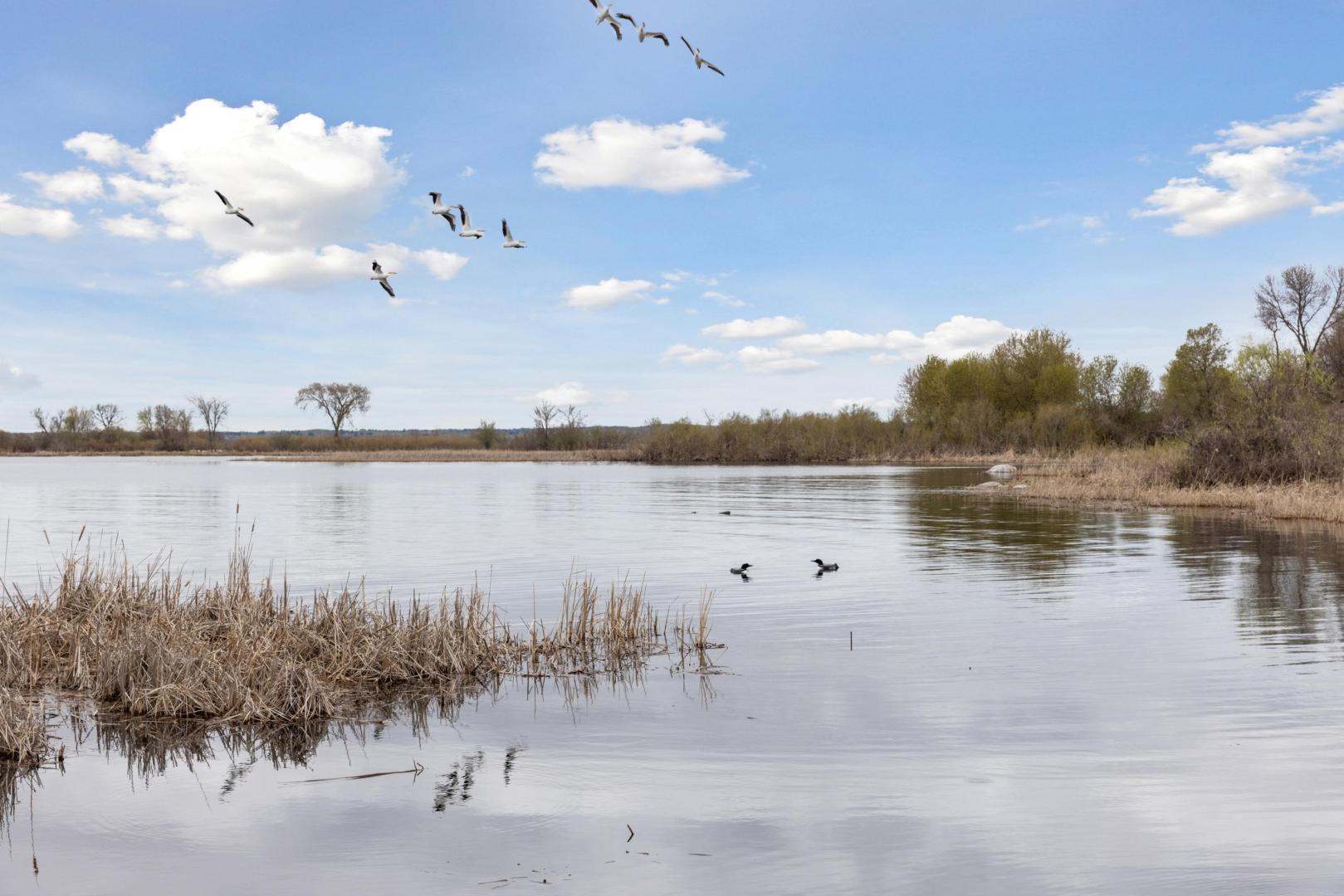 Pelican Island – Private island in Minnesota, United States