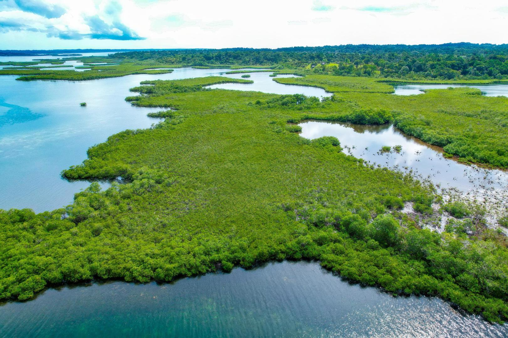 Bocas del Toro – Private island in Panama, Central America